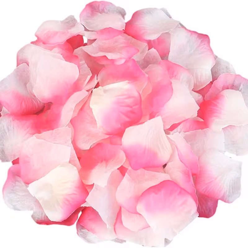 Rosenblad Rosa/Vit 100-pack - Bild 2