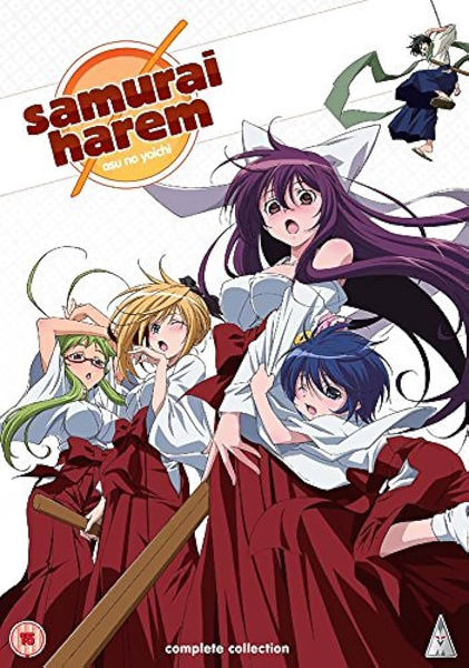 Samurai Harem (DVD) - Bild 2