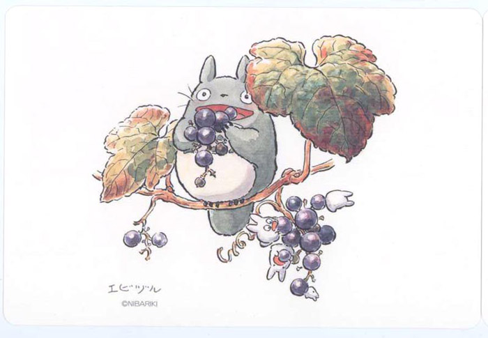 Totoro vykort – Vitis ficfolia - Bild 2